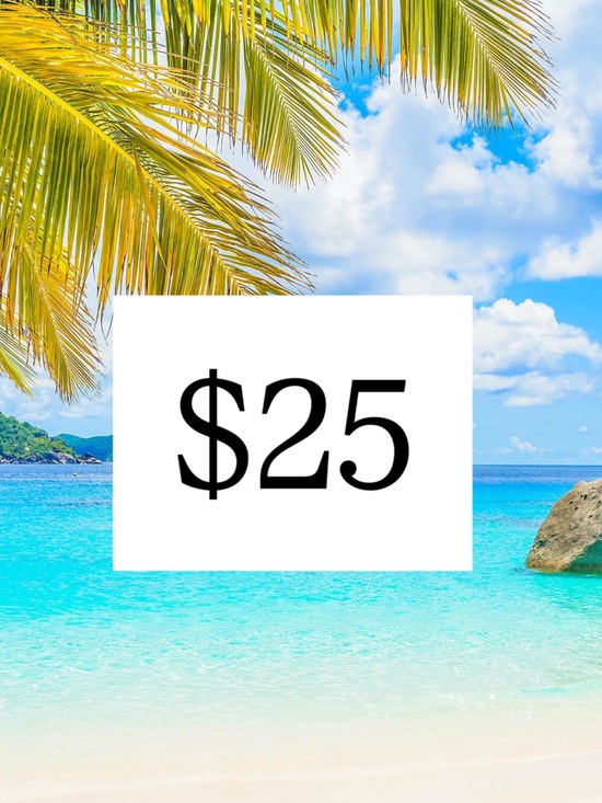 Brand Name Accessories - 🩱👙☀️MACYS AND BLOOMINGDALES PALLET OF PREMIUM SWIMWEAR WOMENS